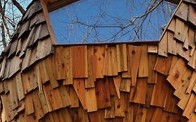 T'Glamp Bee House