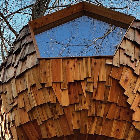 Hotel T'Glamp Bee House Rovte Esterno foto